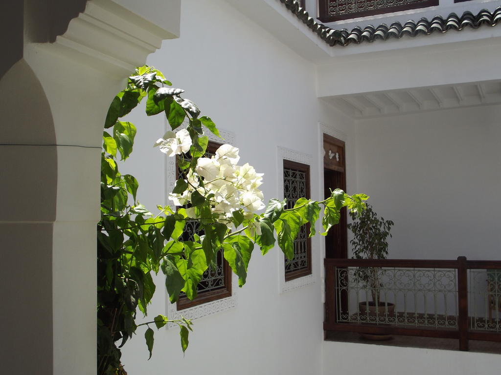 Riad Les Bougainvilliers Marrakesh Luaran gambar
